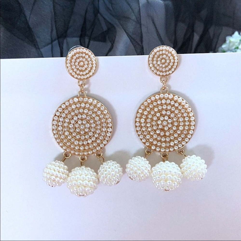 NWT Fashion earrings